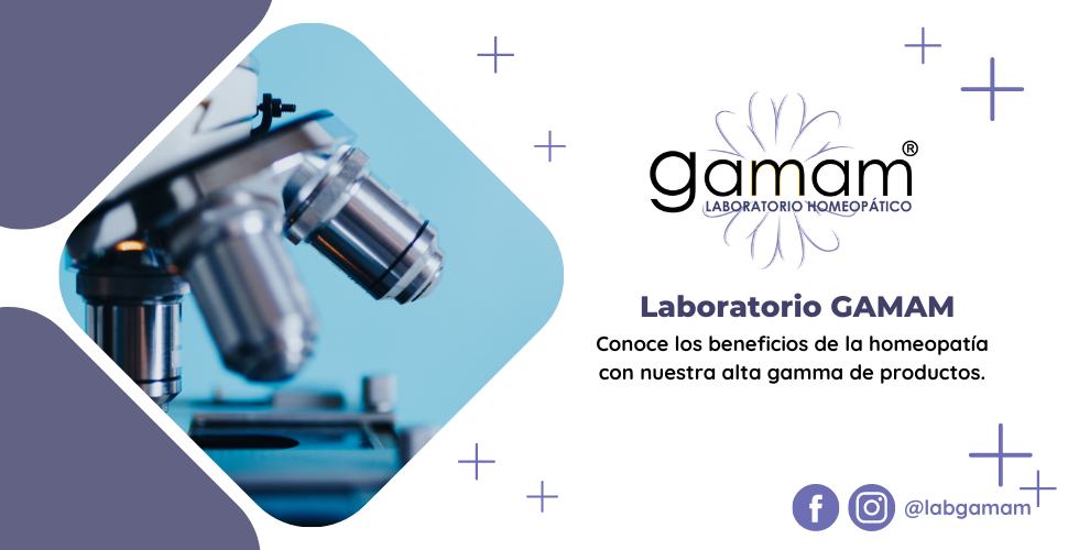 Laboratorio GAMAM